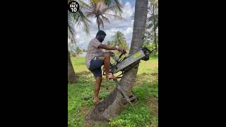 Tree Climbing Scouter যেটা দিয়ে গাছে ওঠা অনেকটা আসান thefact10 shorts [upl. by Adiela426]