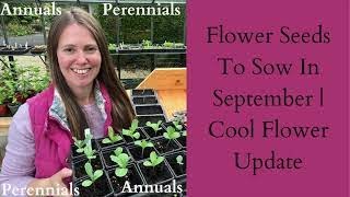 Perennial And Annual Flower Seeds To Sow In September And Cool Flower Update [upl. by Lorilee]