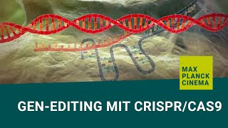 Genediting mit CRISPRCas9 english subtitles [upl. by Laetitia]