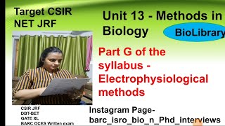 Patch Clamp Technique  CSIRICMRDBT GATE csirnetlifesciences science phd molecularbiology [upl. by Nurav340]