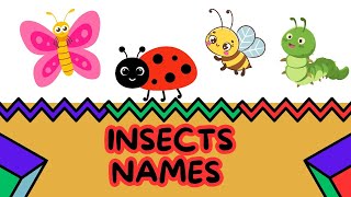 Insects names in EnglishInsectsInsects nameInsects for kidsbutterfly [upl. by Nayrb]