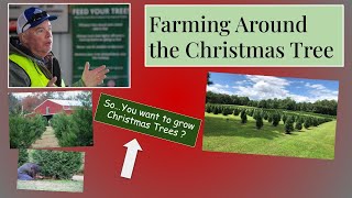 Farming Around the Christmas tree 17 HD 720p [upl. by Letnoj166]