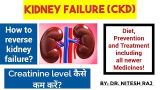 Creatinine कैसे कम करेंकिडनीkidney disease treatmentkidney failure treatment CKD drniteshraj [upl. by Nagiem711]