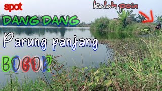 SPOT DANG DANG PARUNG PANJANG BOGOR ❗❗❗KALAH POIN [upl. by Cleland961]