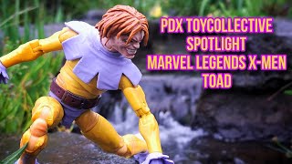 Forgotten For Good Reason  Marvel Legends X Men Toad Spotlight [upl. by Ajat881]