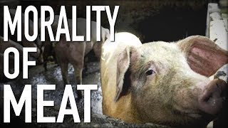 Is It Moral to Eat Meat [upl. by Missie572]