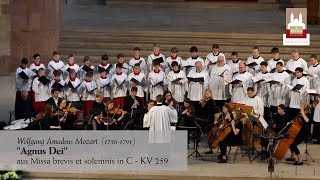 Agnus Dei aus quotMissa brevis in Cquot Orgelsolomesse  KV 259 von Wolfgang Amadeus Mozart [upl. by Rooker]