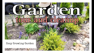 Garden Bed Tour Clean Up and Plant Hibiscus [upl. by Lohman418]