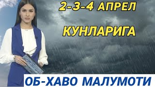 234 АПРЕЛ КУНЛАРИ УЧУН ОБ ХАВО МАЛУМОТИ ob havo [upl. by Nnarual244]