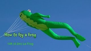 How to fly a frog  frog kite that is [upl. by Standice]