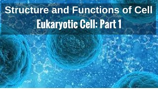 Structure and Functions of Cell Eukaryotic Cell Part 1 [upl. by Piers]