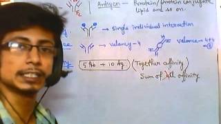 Antigen antibody reaction overview [upl. by Maison]