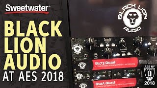 Sweetwater at AES 2018 Black Lion Audio B12A Quad and B173 Quad [upl. by Corso]