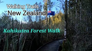 Kahikatea Forest Walk New Zealand 2024 [upl. by Yesnek]