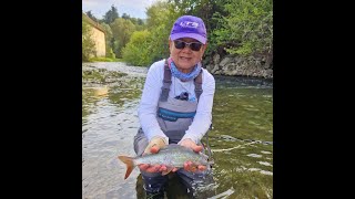 Flyfishing the Ljubljanica River Slovenia  9124 [upl. by Eilrak]