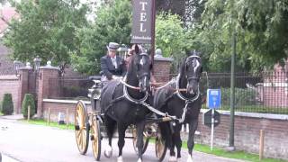 Historische Koetsentocht in Maaseik [upl. by Doak]