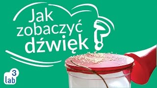 JAK ZOBACZYĆ DŹWIĘK  lab3 [upl. by Noirred]