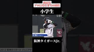 【広島の未来】林晃汰〜プロになるまでの軌跡〜甲子園 阪神タイガース shorts [upl. by Ieso]