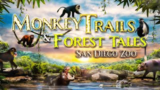 Zoo Tours The Monkey Trails amp Forest Tales  San Diego Zoo [upl. by Lemaj]