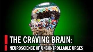 The Craving Brain Neuroscience of Uncontrollable Urges [upl. by Inahs94]