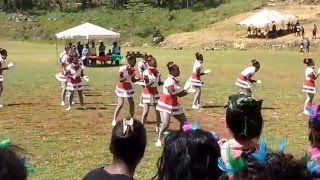 Aggrey house cheerleading routine 2016 [upl. by Skvorak]