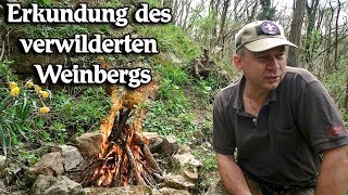 Erkundung des verwilderten Weinbergs [upl. by Itsrejk]