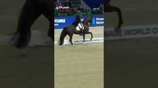 Dressage needs to STOP with hyperflexion read the description abuseprevention dressage [upl. by Halli442]