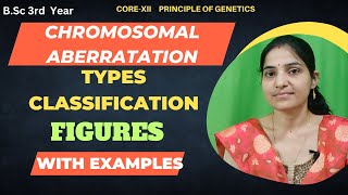 Types Of Chromosomal Aberration BSc 3rd YearChromosomal Mutation [upl. by Nnyliram939]