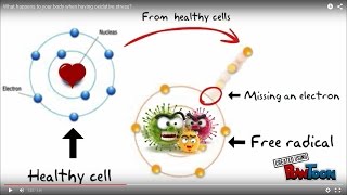 What happens to your body when having oxidative stress [upl. by Season]