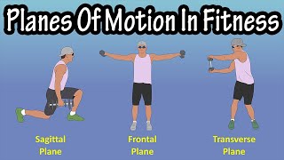 Importance Of The Planes Of Motion Sagittal Plane Frontal Plane Transverse Plane In Fitness [upl. by Aicile]