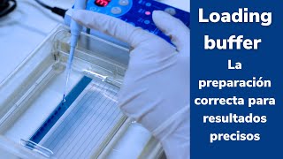 Cómo se prepara un BUFFER de CARGA 6x para ELECTROFORESIS de DNA Loadingdye con AZUL DE BROMOFENOL [upl. by Ayerdna]