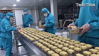 Incrível Processo de Fabricação de Biscoitos ou Bolachas Cream cracker e Outros Pães e Tofu [upl. by Deeas173]