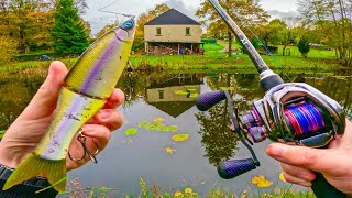 On revient 1 an APRÈS pour tenter de PÉCHER le plus GROS POISSON de l’ÉTANG au fond du JARDIN [upl. by Varney]