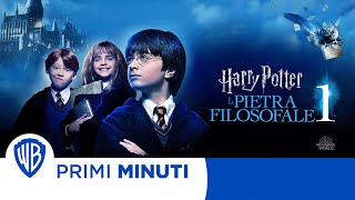 Harry Potter e la Pietra Filosofale  I Primi minuti [upl. by Elleirbag]