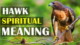 23 Spiritual Meaning of Hawk Spirit Animal  Hawk Totem Symbolism amp Meanings [upl. by Aliekat109]