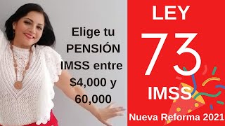 LEY 73 Modalidad 40 Elige tu PENSIÓN IMSS entre 4000 y 60000 [upl. by June]