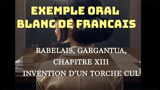 Exemple doral blanc sur Gargantua de Rabelais chapitre XIII Le torchecul [upl. by Anoli]