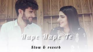 Hape Hape Te  New Santali Lofi Song  slow and reverb  Mind blowing up song 2024 [upl. by Teddy81]