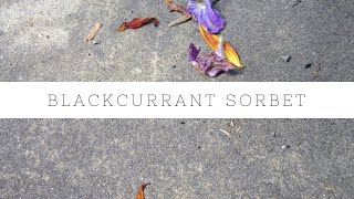 How I make blackcurrant sorbet [upl. by Aerdnahc]