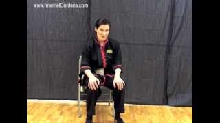 Tai Chi HowTo Quick amp Easy Way to Treat Knee Pain or Stiffness  from wwwInternalGardenscom [upl. by Ahsito]