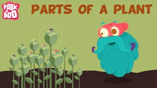 Parts Of A Plant  The Dr Binocs Show  Learn Videos For Kids [upl. by Isiahi319]