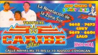 SONIDO TROPICAL CARIBE LA SELVA TROPICAL [upl. by Anujra71]