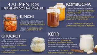 Intestino Saludable Con La Microbiota Intestinal  KIMCHI  CHUCRUT  KOMBUCHA  KÉFIR [upl. by Adnilemreh597]