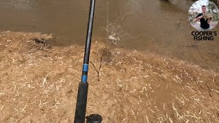 Fishing in the Campaspe River near Echuca [upl. by Ithnan]