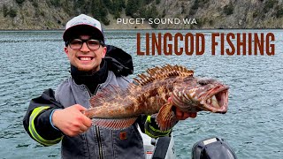 Lingcod Fishing in Puget Sound  Deception Pass Pacific Ocean  Washington  May 2022 [upl. by Htebi794]