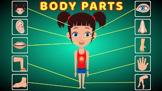 Body Parts  Body Parts for toddlers  Body Parts Name in English  Learn Body Parts for Kids [upl. by Atekihs]