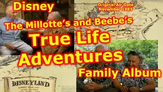 Disney Family Album  True Life Adventures  The Milottes  The BeeBes  Lloyd Beebe  Seal Island [upl. by Touber406]