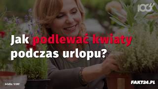 Jak podlewać kwiaty podczas urlopu [upl. by Graniela314]