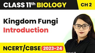 Kingdom Fungi Introduction  Biological Classification  Class 11 Biology Chapter 2  NCERTCBSE [upl. by Anillek]