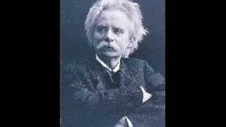 Edvard Grieg  Anitras Dance Peer Gynt Suite No 1 [upl. by Lasiaf]